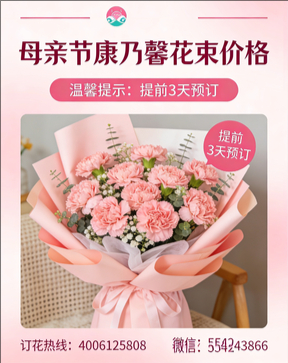 晋中寿阳县花店母亲节康乃馨花束