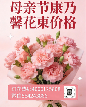 晋中寿阳县花店母亲节康乃馨花束